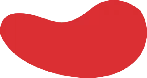 RB88.(中国区)官方网站